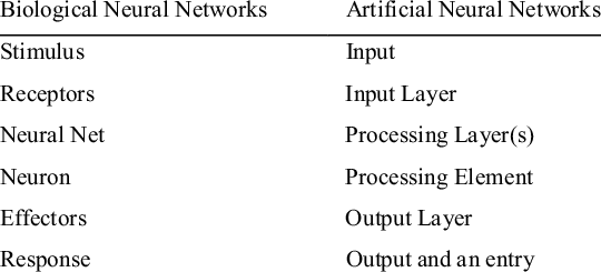 Biological vs Artificial Neural Networks