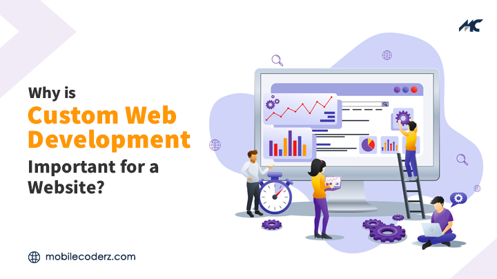 custom web development